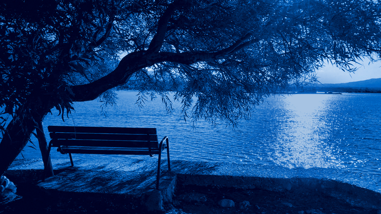 bench_tree.jpg